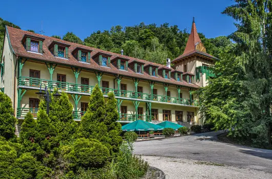 Hotel Bakony - Augusztus 20.