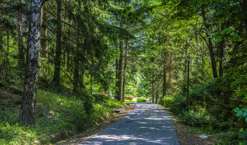 Hotel Bakony Bakonybl - Augusztus 20. (min. 2 j)