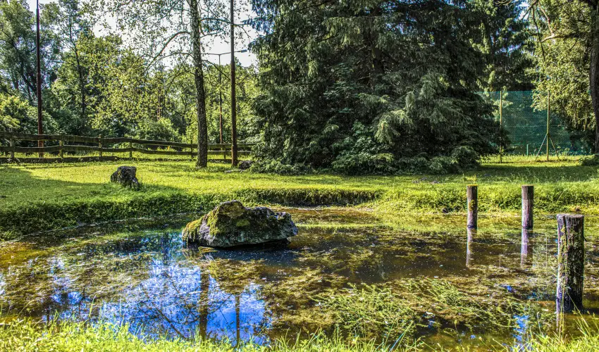 Hotel Bakony Bakonybl - Augusztus 20. (min. 2 j)