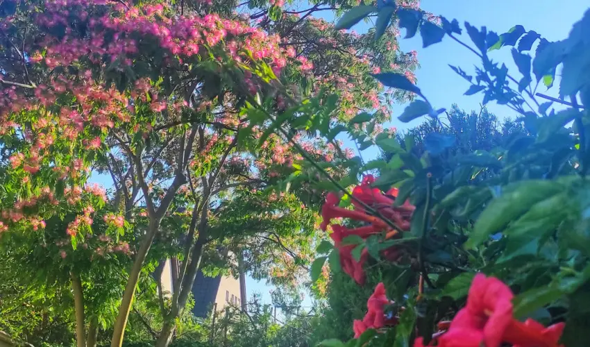 Balla Apartmanhz Sifok - Augusztus 20. (min. 6 j)