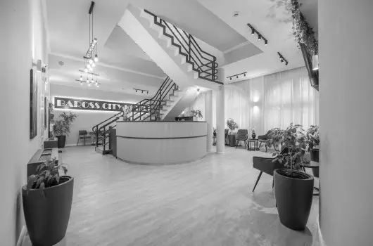 Baross Hotel by Mellow Mood Hotels - Augusztus 20.