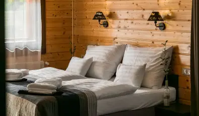 Barrico Thermal Hotel Demj�n