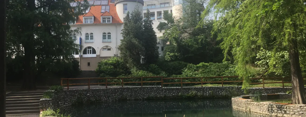 Bstya Konferencia s Wellness Hotel Miskolctapolca - Augusztus 20.