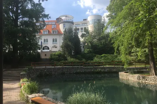 Bstya Konferencia s Wellness Hotel - Augusztus 20.