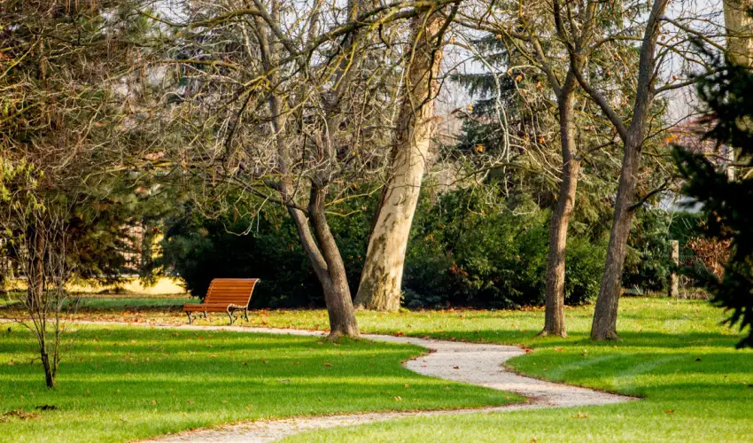 Batthyny Kria Zalacsny - Augusztus 20. 