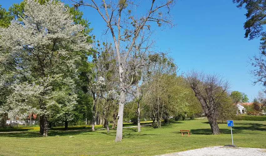 Batthyny Kria Zalacsny - Augusztus 20. 