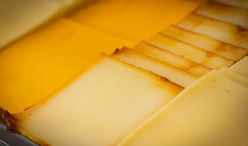 Bazilika alatti Panzi Esztergom - Augusztus 20.