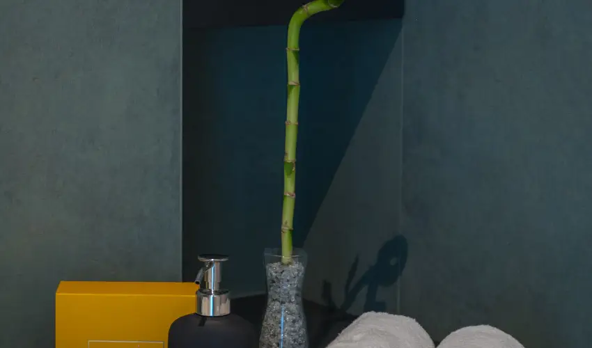 BJ81 Suite Hotel Sifok - Augusztus 20. - teljes elrefizetssel (min. 3 j)