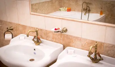 Bodrogi K�ria Wellness Hotel In�rcs