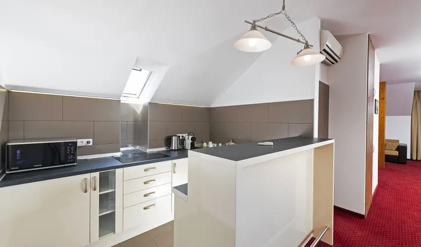 Bodrogi K�ria Wellness Hotel In�rcs - Augusztus 20.