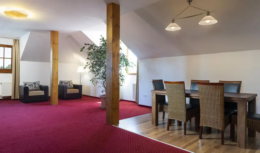 Bodrogi K�ria Wellness Hotel In�rcs - Augusztus 20.