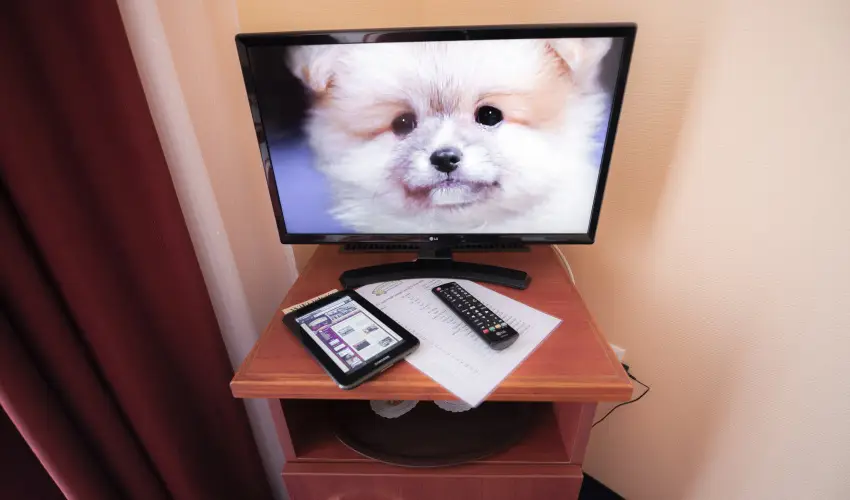 Bogl�rka Panzi�-�tterem  Mez�k�vesd - Augusztus 20. (min. 3 �j)