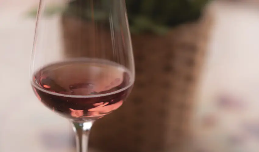 Bogl�rka Panzi�-�tterem  Mez�k�vesd - Augusztus 20. (min. 3 �j)