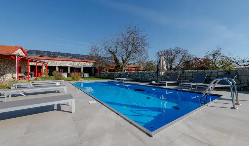 Bohm Borklub Tllya - Augusztus 20. (min. 3 j)