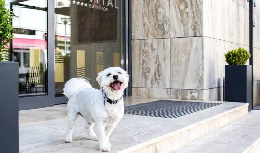 Bonvital Wellness & Gastro Hotel H�v�z H�v�z - Augusztus 20.