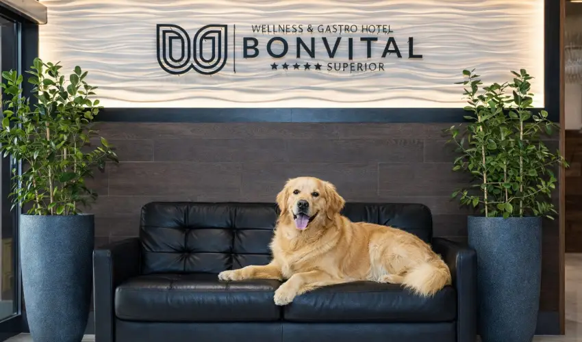 Bonvital Wellness & Gastro Hotel H�v�z H�v�z - Augusztus 20. - teljes el�refizet�ssel (min. 2 �j)