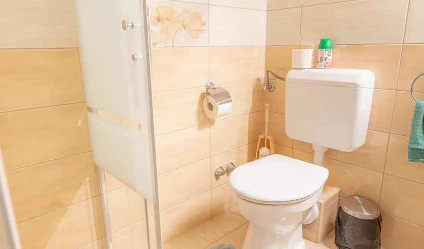 Borb�la Vend�gh�z Gyenesdi�s - Augusztus 20. (min. 2 �j)