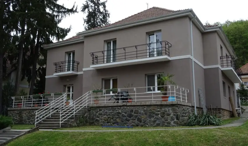 Borka Panzi Pardfrd - Augusztus 20. (min. 2 j)