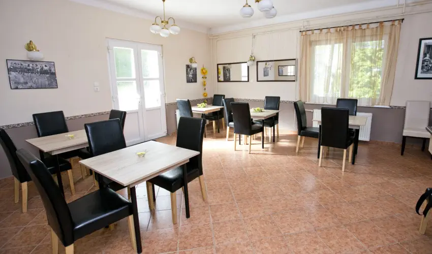 Borka Panzi Pardfrd - Augusztus 20. (min. 2 j)