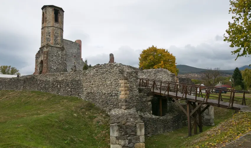 Borka Panzi Pardfrd - Augusztus 20. (min. 2 j)