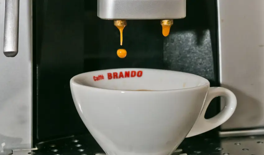 Borka Panzi Pardfrd - Augusztus 20. (min. 2 j)