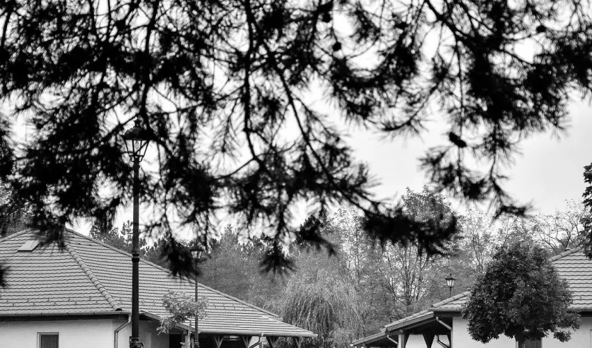 Cegl�df�rd� Apartmanpark �s Kemping Cegl�d - Augusztus 20. (min. 2 �j)