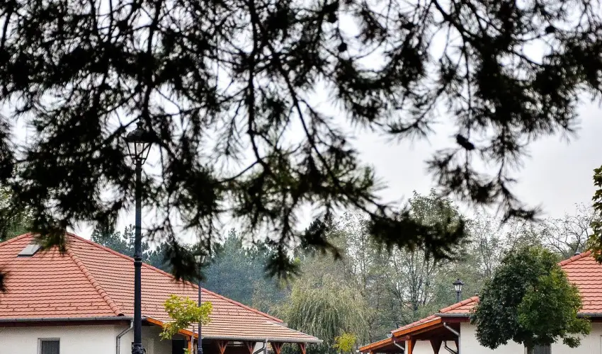 Cegl�df�rd� Apartmanpark �s Kemping Cegl�d - Augusztus 20. (min. 2 �j)