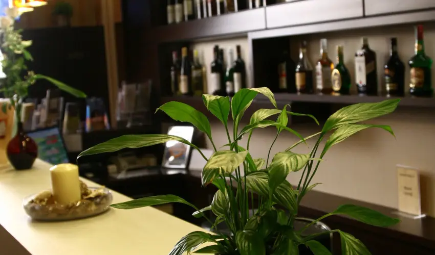 Central Hotel 21 Budapest - Augusztus 20.