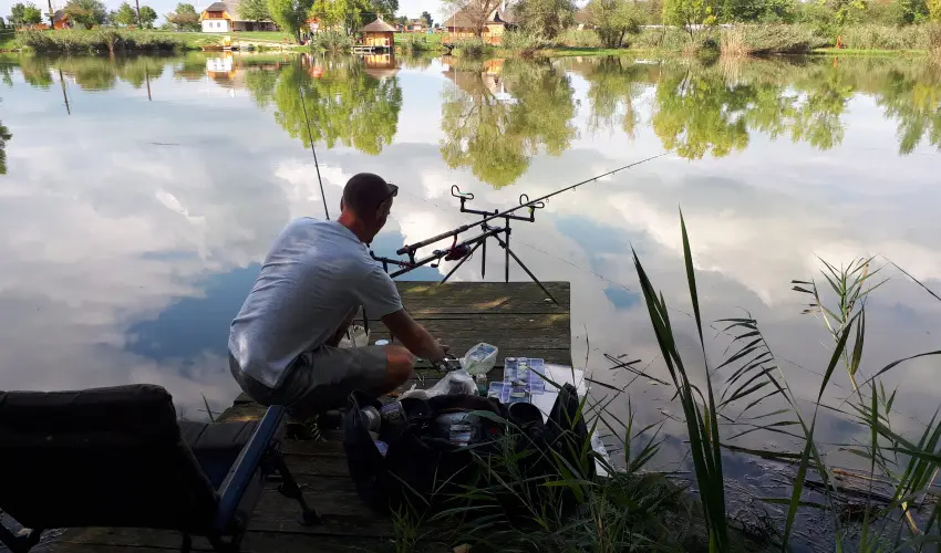 Csodaszarvas Tjpark Rbahdvg - Augusztus 20. (min. 2 j)