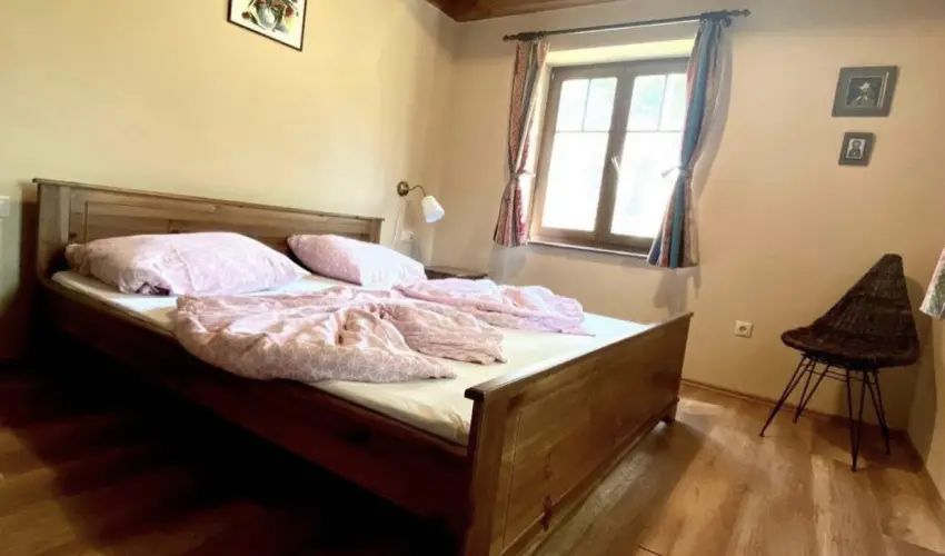 Csodaszarvas Tjpark Rbahdvg - Augusztus 20. (min. 2 j)