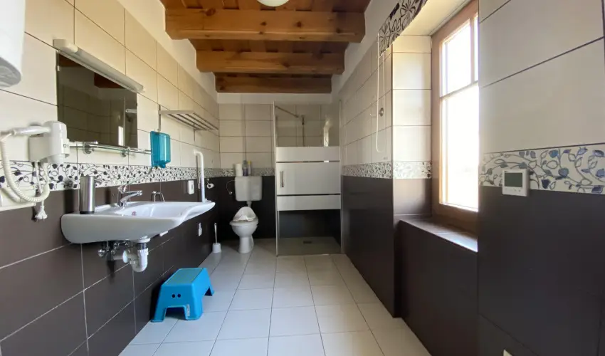 Csodaszarvas Tjpark Rbahdvg - Augusztus 20. (min. 2 j)