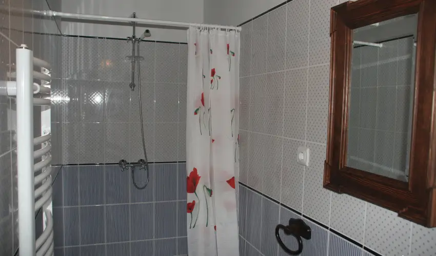 Czirka Vendghz Tolcsva - Augusztus 20. (min. 2 j)