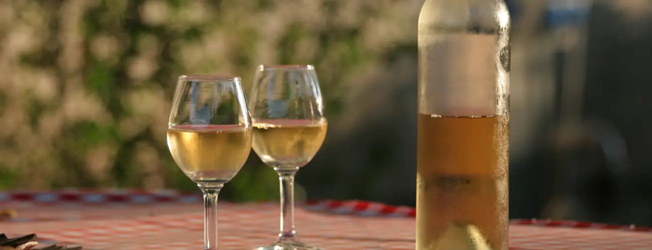 Czirka Vendghz Tolcsva - Augusztus 20. (min. 2 j)