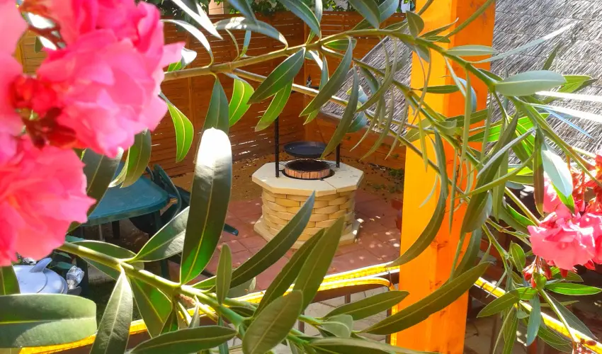 Dek Vendghz Hajdszoboszl - Augusztus 20. (min. 4 j)