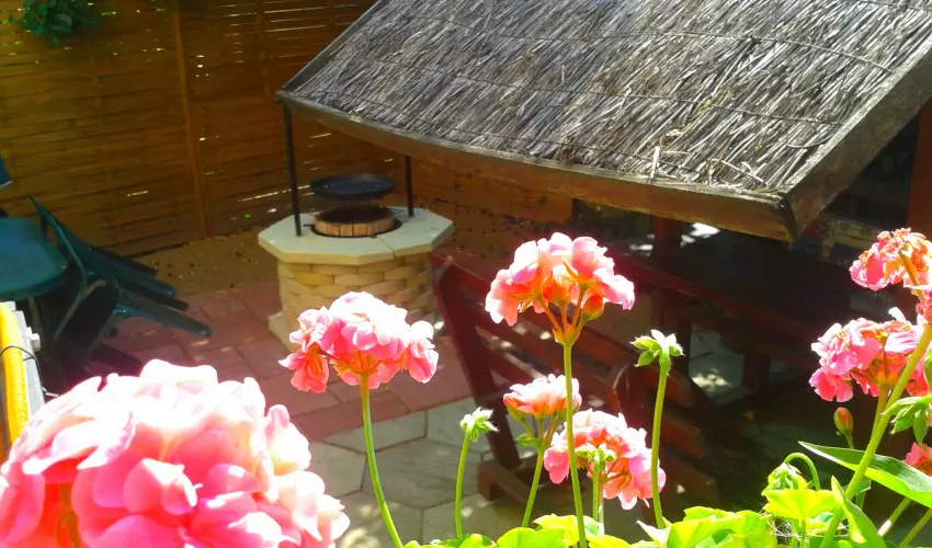 Dek Vendghz Hajdszoboszl - Augusztus 20. (min. 4 j)