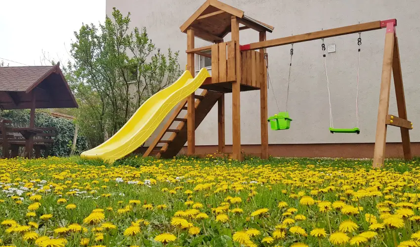 Dek Vendghz Hajdszoboszl - Augusztus 20. (min. 4 j)