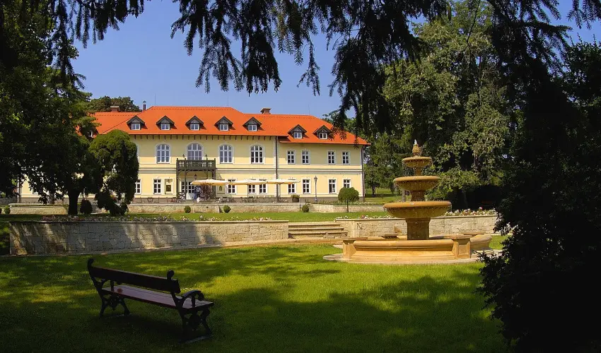 grf Degenfeld Kastlyszll Tarcal - Augusztus 20.