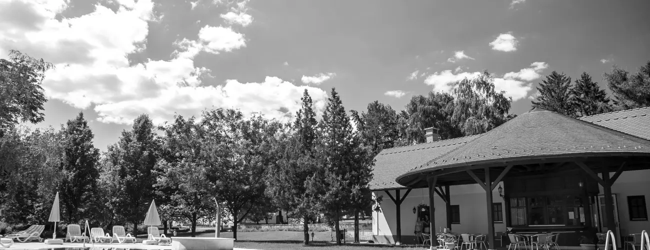 grf Degenfeld Kastlyszll Tarcal - Augusztus 20.