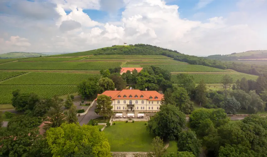 grf Degenfeld Kastlyszll Tarcal - Augusztus 20.