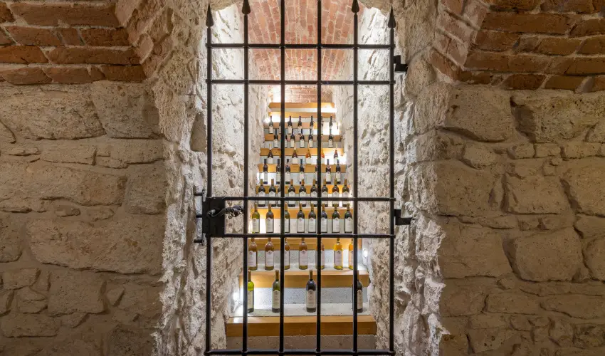 grf Degenfeld Kastlyszll Tarcal - Augusztus 20.