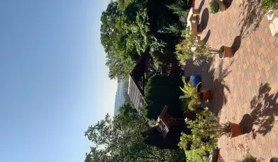 Di�fa Vend�gh�z Kehidakust�ny