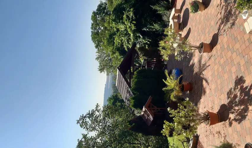 Di�fa Vend�gh�z Kehidakust�ny - Augusztus 20.