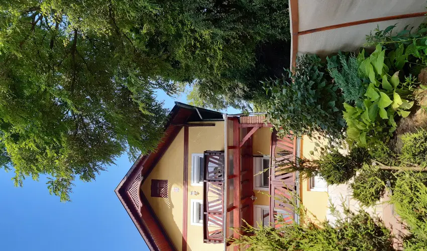 Di�fa Vend�gh�z Kehidakust�ny - Augusztus 20.