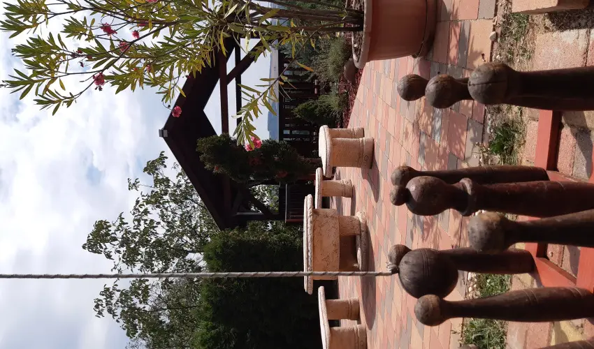 Di�fa Vend�gh�z Kehidakust�ny - Augusztus 20.