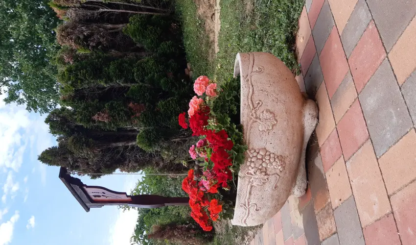 Di�fa Vend�gh�z Kehidakust�ny - Augusztus 20.