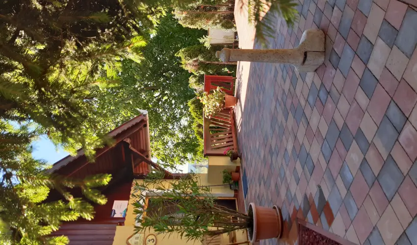 Di�fa Vend�gh�z Kehidakust�ny - Augusztus 20.