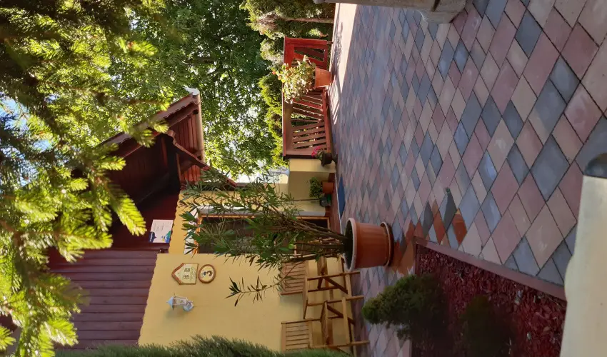 Di�fa Vend�gh�z Kehidakust�ny - Augusztus 20.