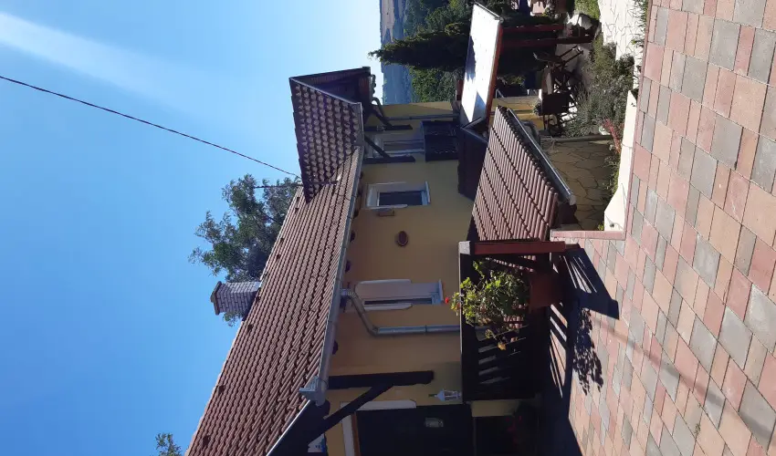 Di�fa Vend�gh�z Kehidakust�ny - Augusztus 20.