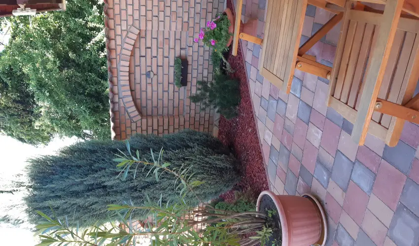 Di�fa Vend�gh�z Kehidakust�ny - Augusztus 20.