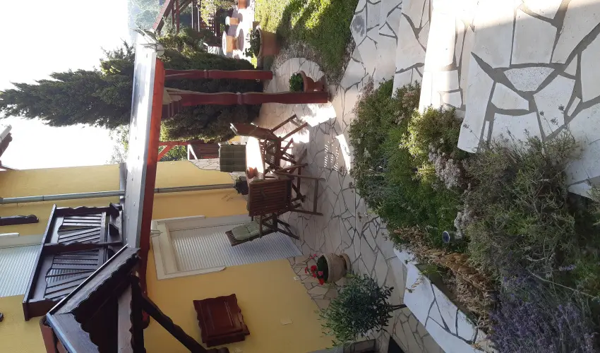 Di�fa Vend�gh�z Kehidakust�ny - Augusztus 20.